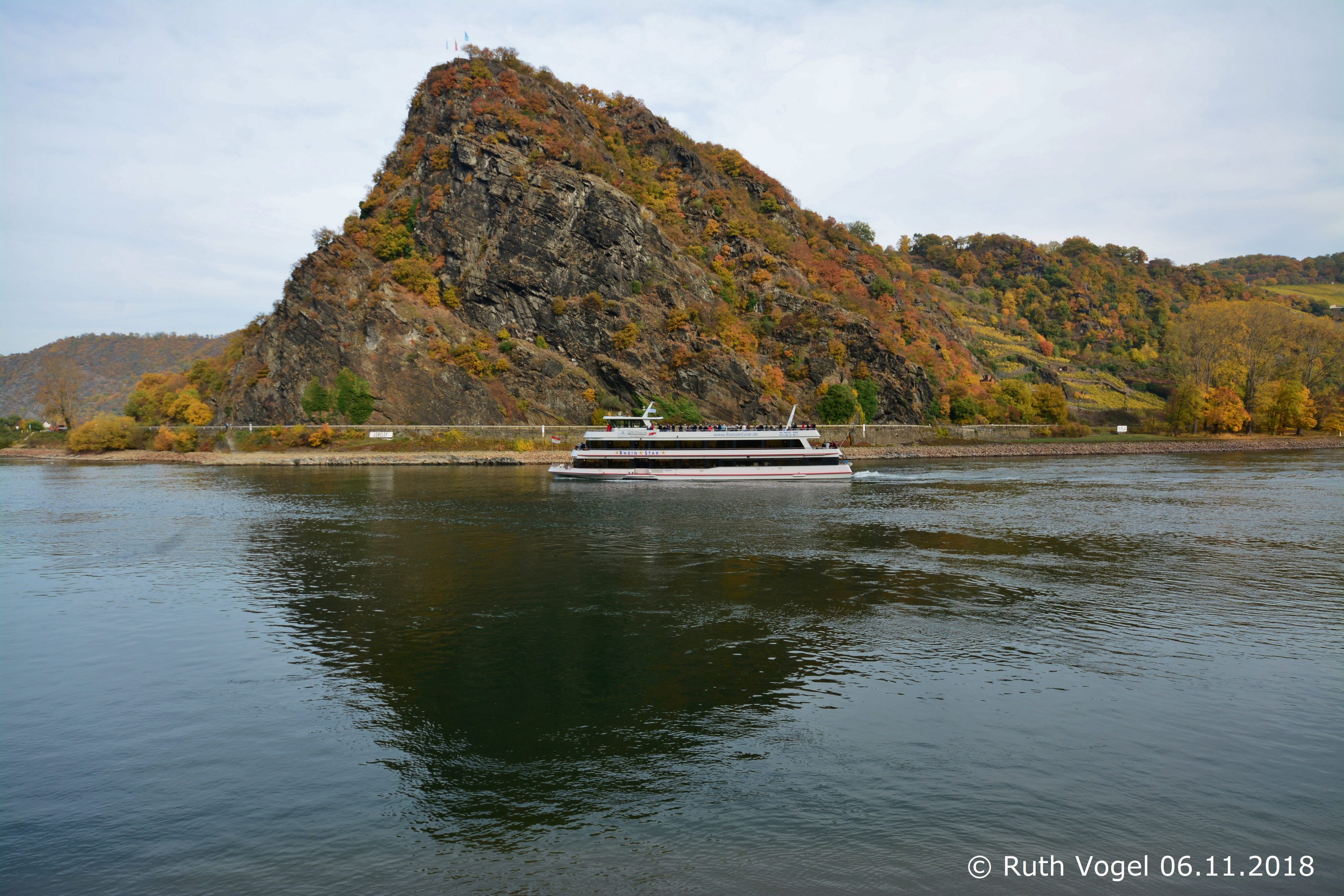 Rhein Star Rössler Linie an der Loreley (Foto Ruth Vogel)