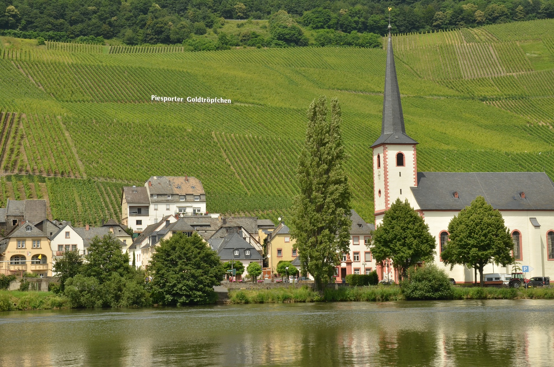 Read more about the article Einladung Weinprobe „Historische Weinbergslagen an der Mosel“