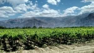 Read more about the article Zoom-Link und Technik-Test Weinprobe Argentinien