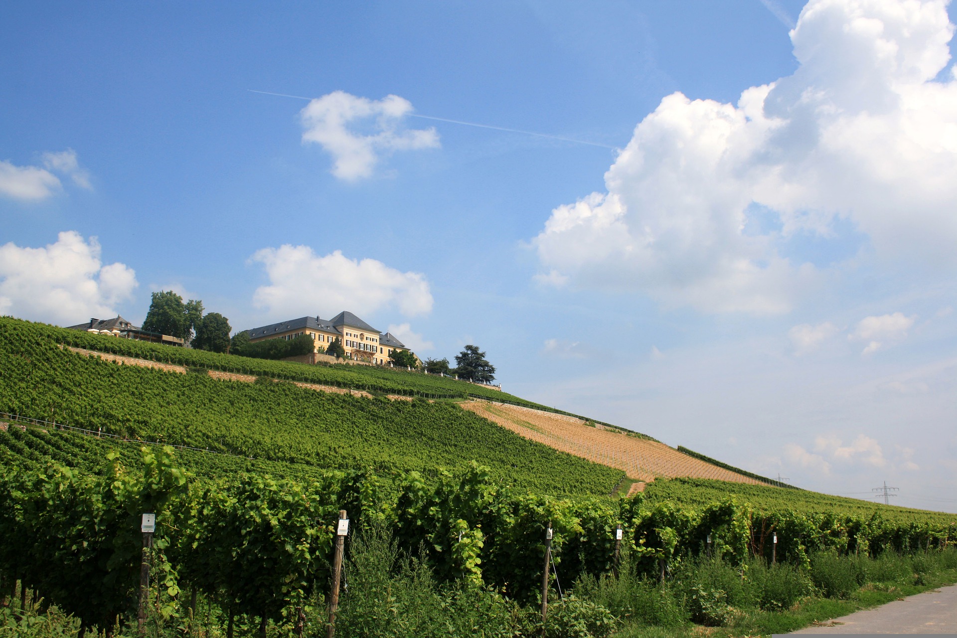 Read more about the article Kraut Wines