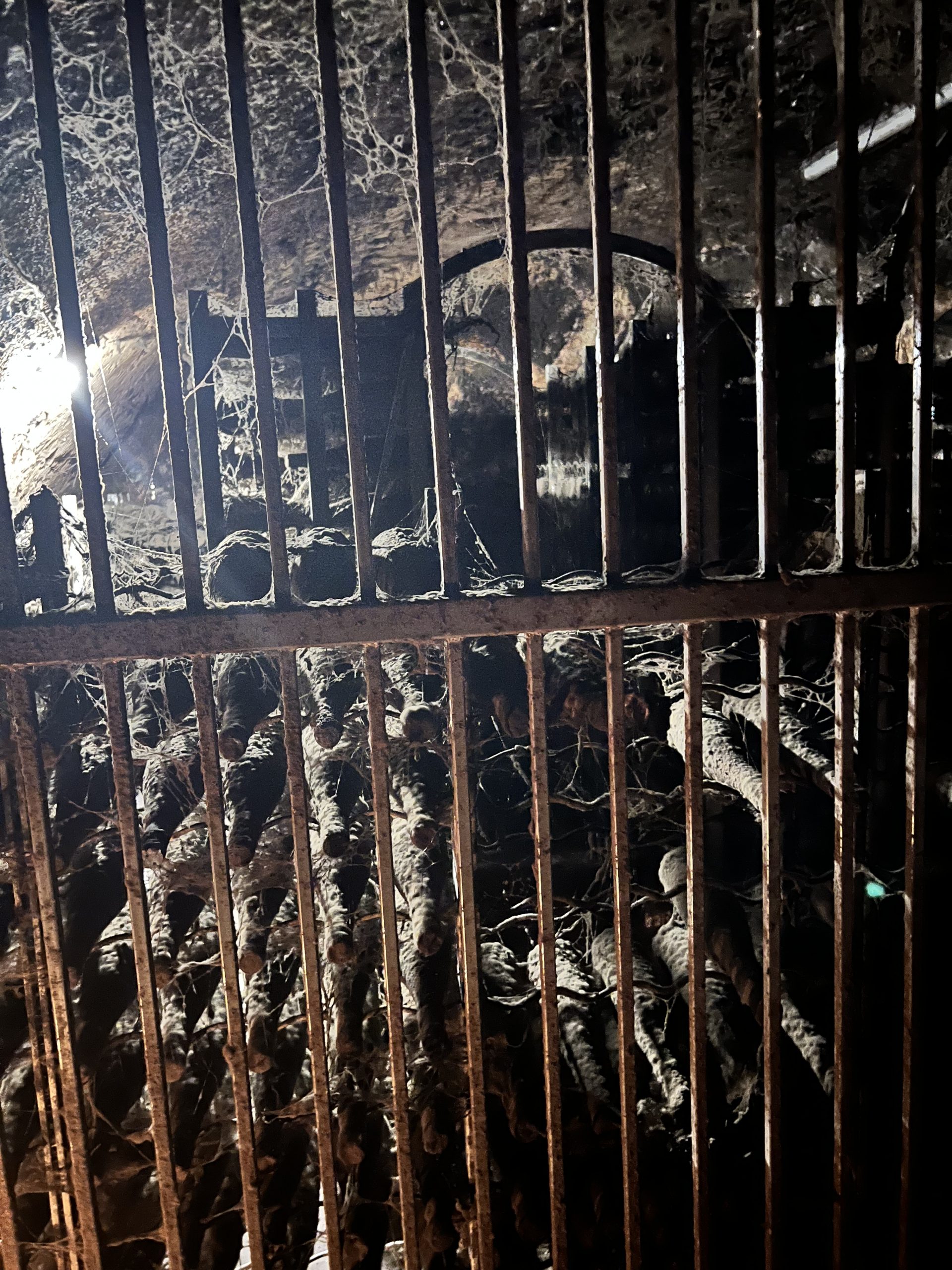 Schatzkammer Schloss Reinhartshausen Foto: Klaus Rössler