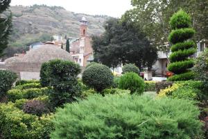 Weinreise des Collegium Vini nach Georgien 2019 (Foto: Fred Albrecht)