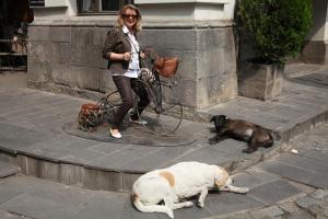 Weinreise des Collegium Vini nach Georgien 2019 (Foto: Fred Albrecht)
