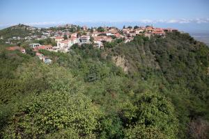 Weinreise des Collegium Vini nach Georgien 2019 (Foto: Fred Albrecht)