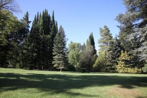 Weinreise des Collegium Vini nach Georgien 2019 (Foto: Fred Albrecht)
