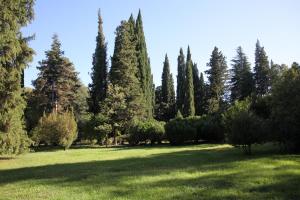 Weinreise des Collegium Vini nach Georgien 2019 (Foto: Fred Albrecht)