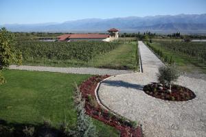 Weinreise des Collegium Vini nach Georgien 2019 (Foto: Fred Albrecht)