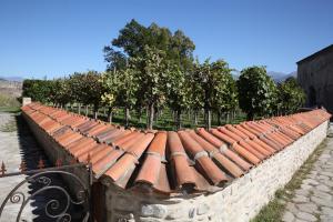 Weinreise des Collegium Vini nach Georgien 2019 (Foto: Fred Albrecht)
