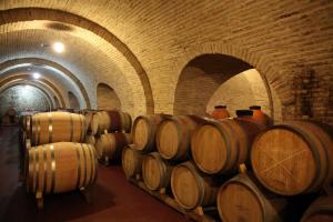 Weinreise des Collegium Vini nach Georgien 2019 (Foto: Fred Albrecht)