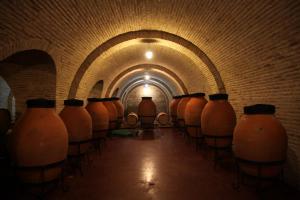 Weinreise des Collegium Vini nach Georgien 2019 (Foto: Fred Albrecht)